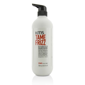 Tame Frizz Shampoo (Preparation For Frizz Reduction)