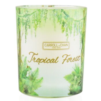 The Candle Company (Carroll & Chan) 100% Beeswax Votive Candle - Tropical Forest